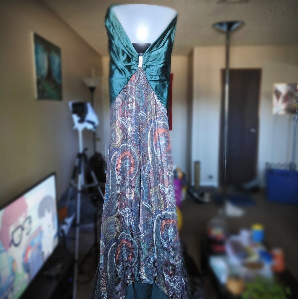 💎Kati Stern/Venexiana Veneza New York Dress 💚